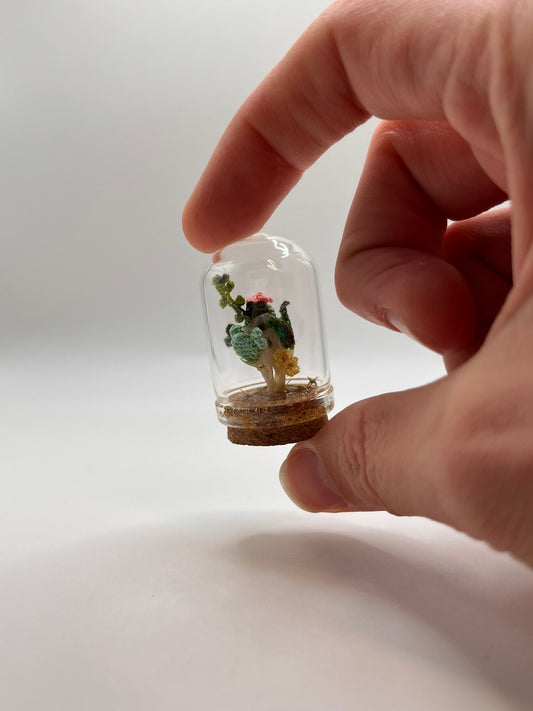 cacti & vines - micro-crochet dome mini jar