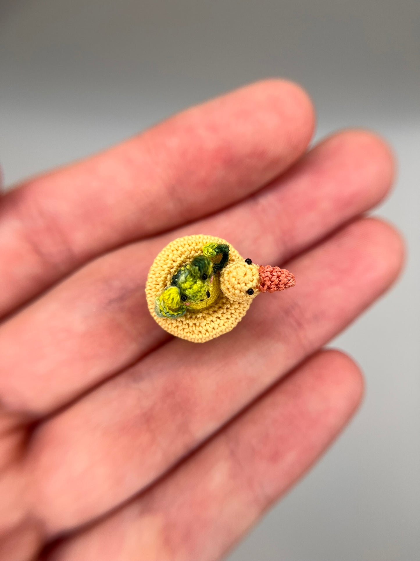 darian frog in ducky floatie fidget toy