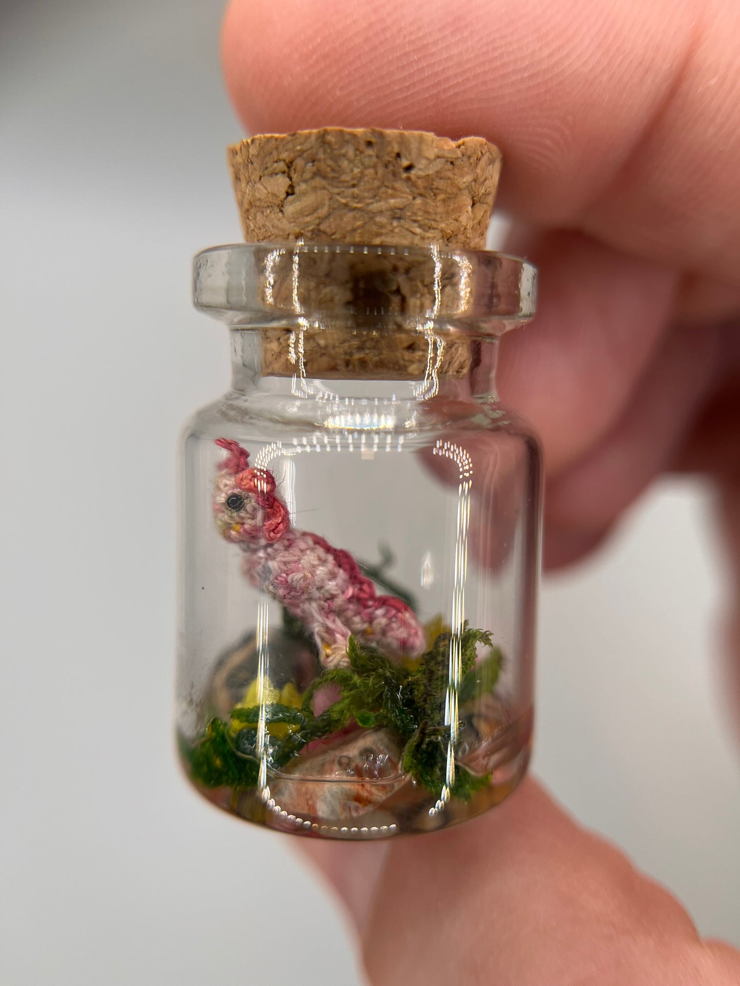 aureline axolotl - vine & crystal jar