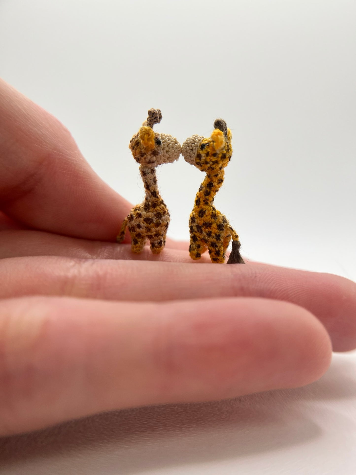 giraffe (pre-order)