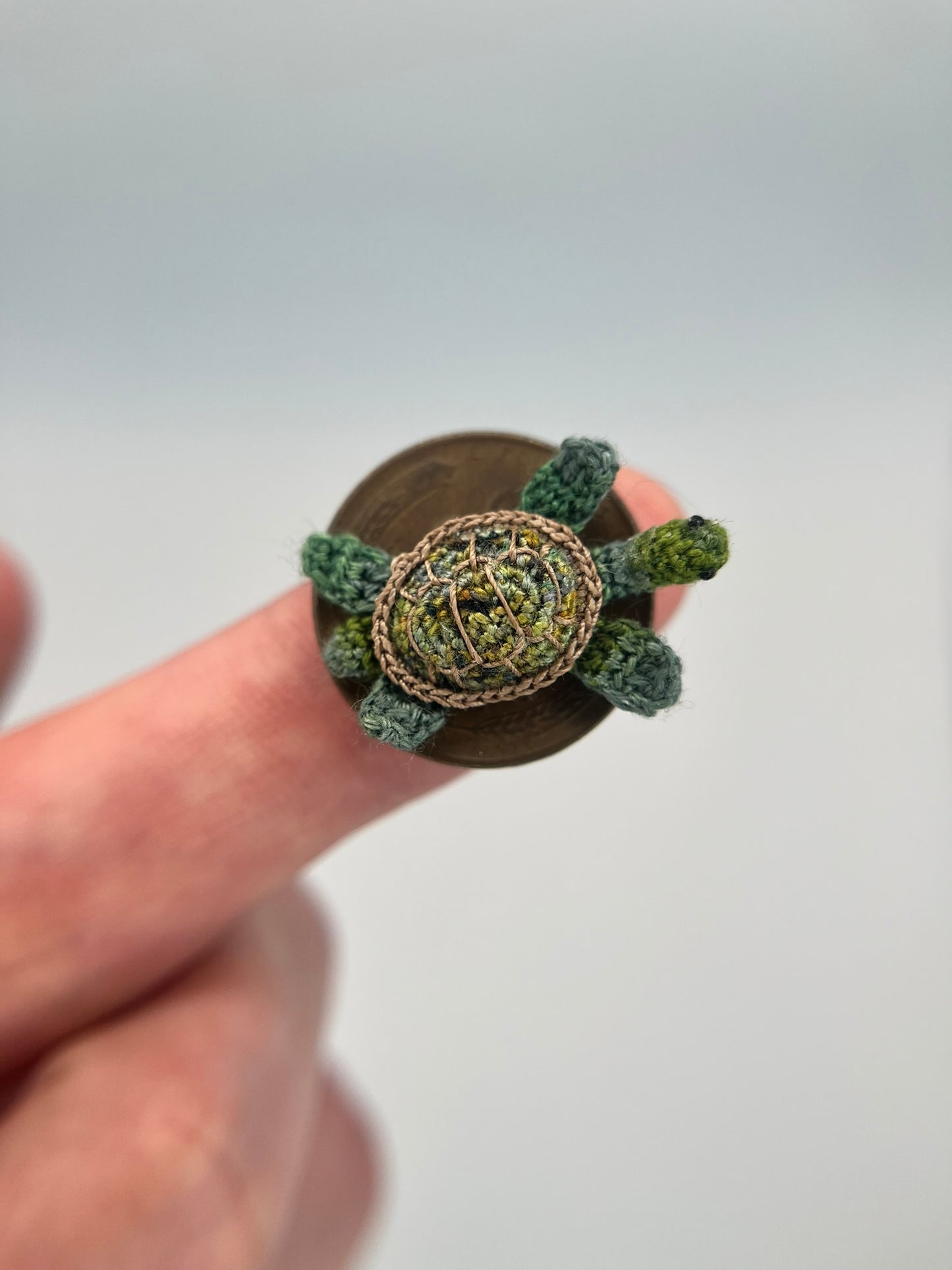 turtle - realistic (pre-order)