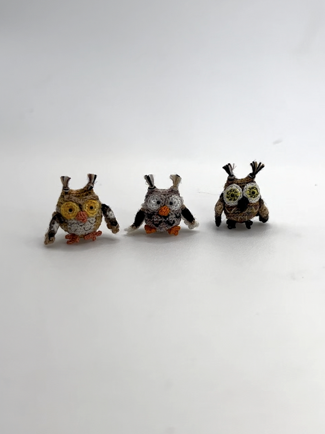 owl (pre-order)