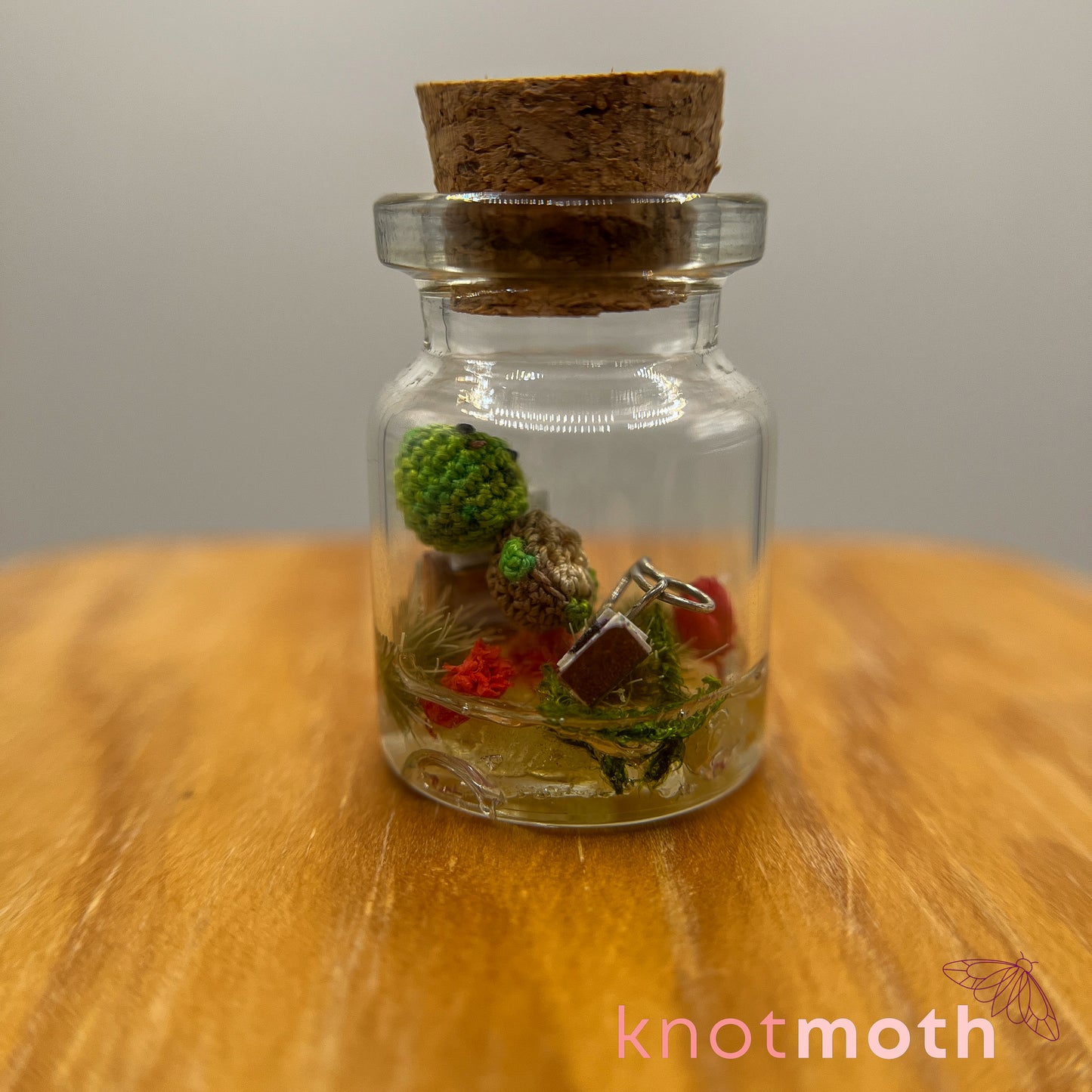 Temple Turtle Micro Crochet Library Terrarium Jar (removable, magnetic)
