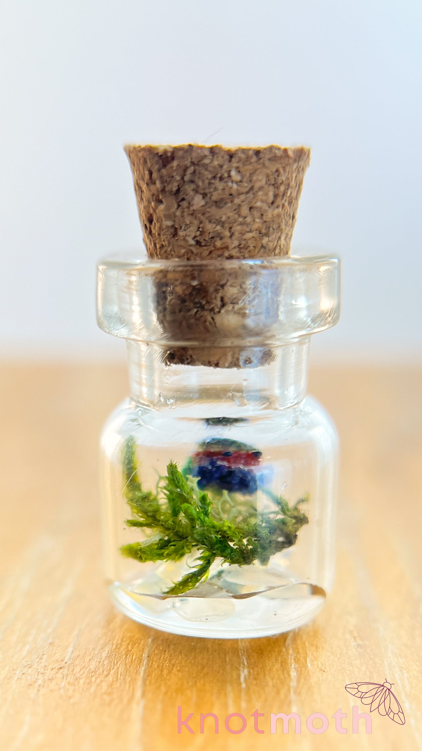 Oliver Mini Octo Micro Crochet Aquarium Jar (Magnetic, Removable)