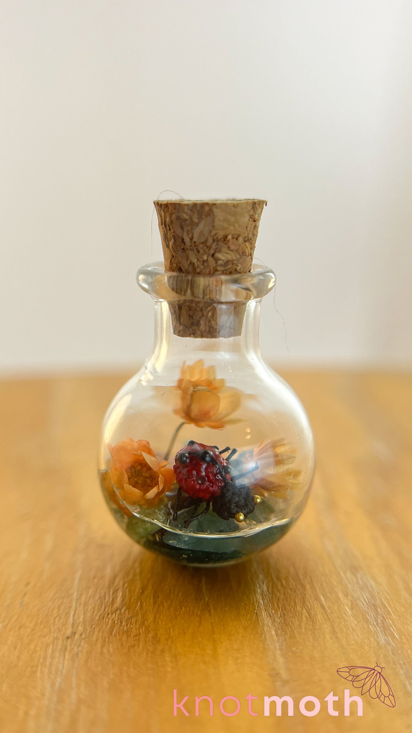 Loretta Ladybug Micro Crochet Terrarium Jar (Magnetic, Removable)