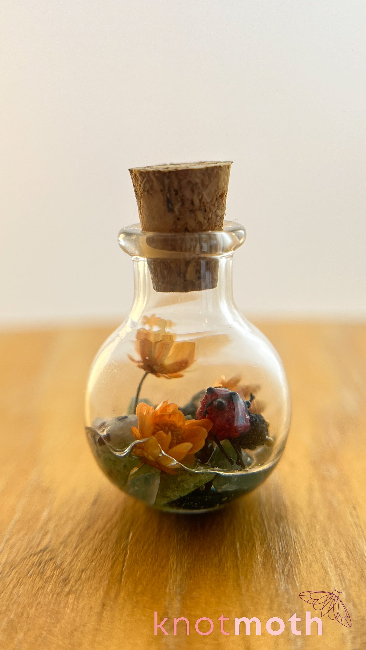 Loretta Ladybug Micro Crochet Terrarium Jar (Magnetic, Removable)