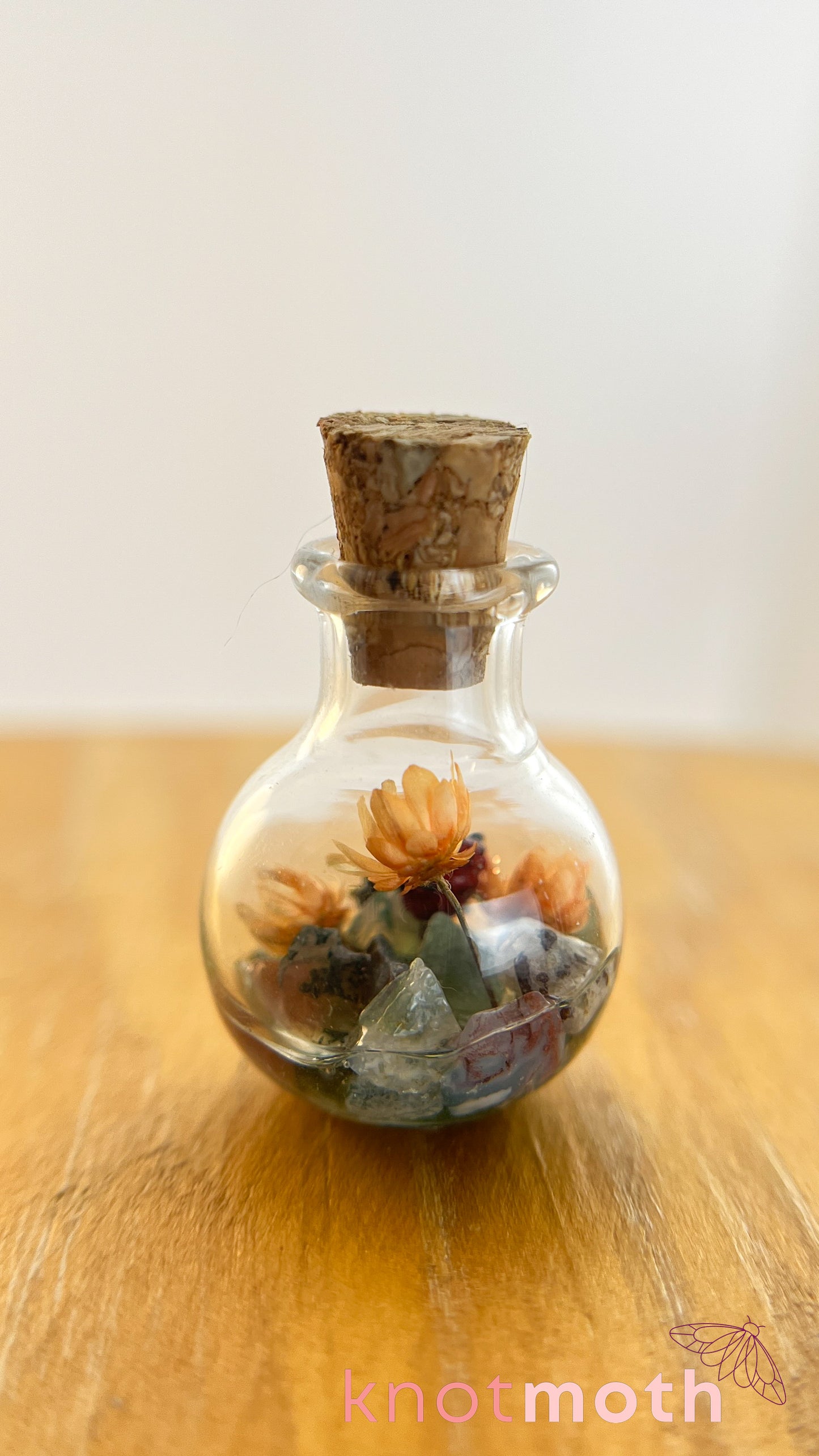 Loretta Ladybug Micro Crochet Terrarium Jar (Magnetic, Removable)