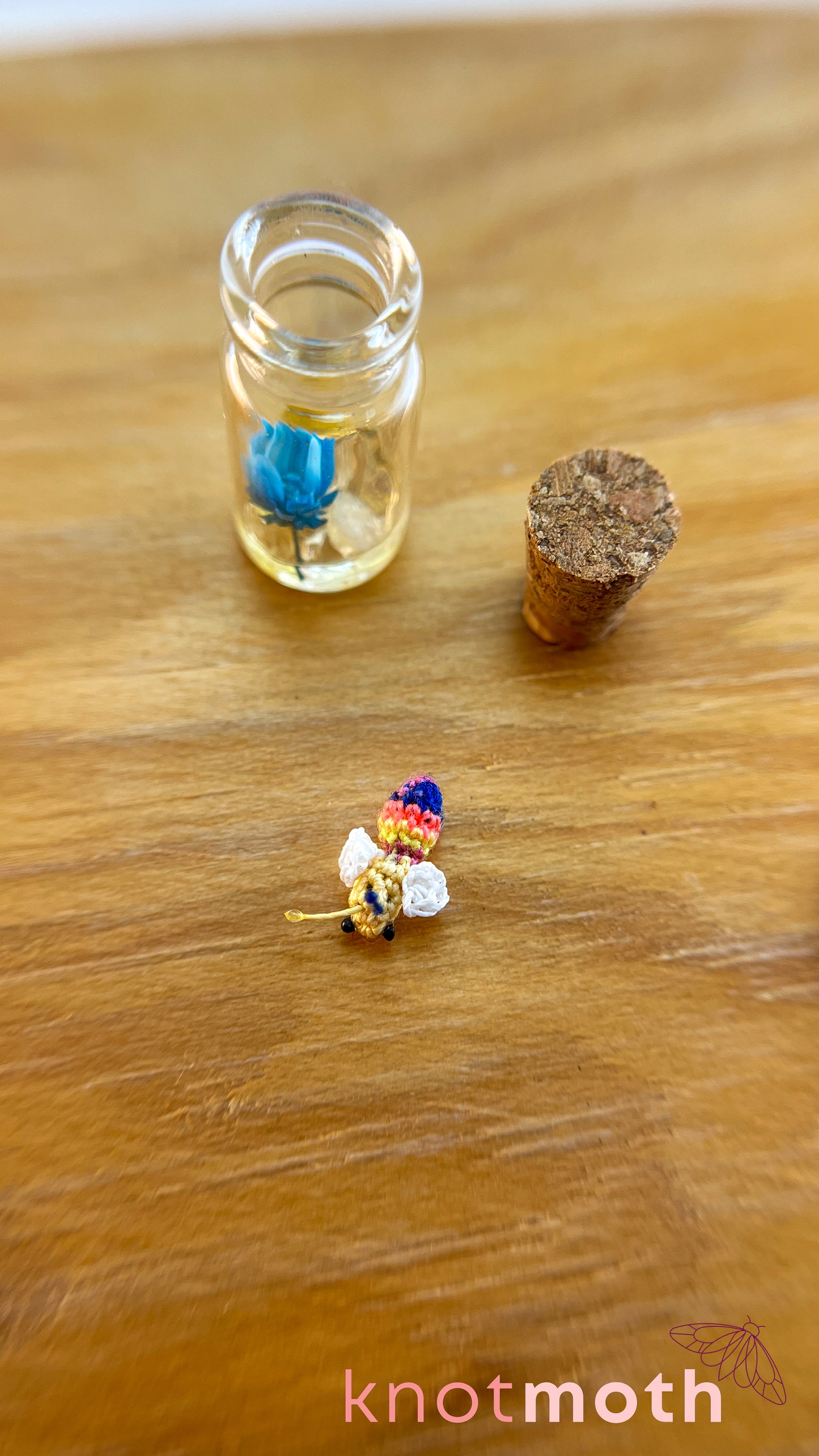 Felicia Fly Micro Crochet Terrarium Jar (Magnetic, Removable)