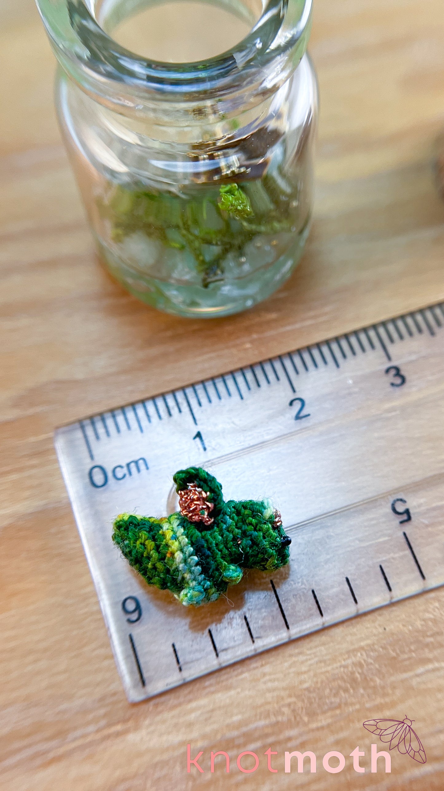 Devon Dragon with Treasure Chest Micro Crochet Terrarium Jar (removable, magnetic)
