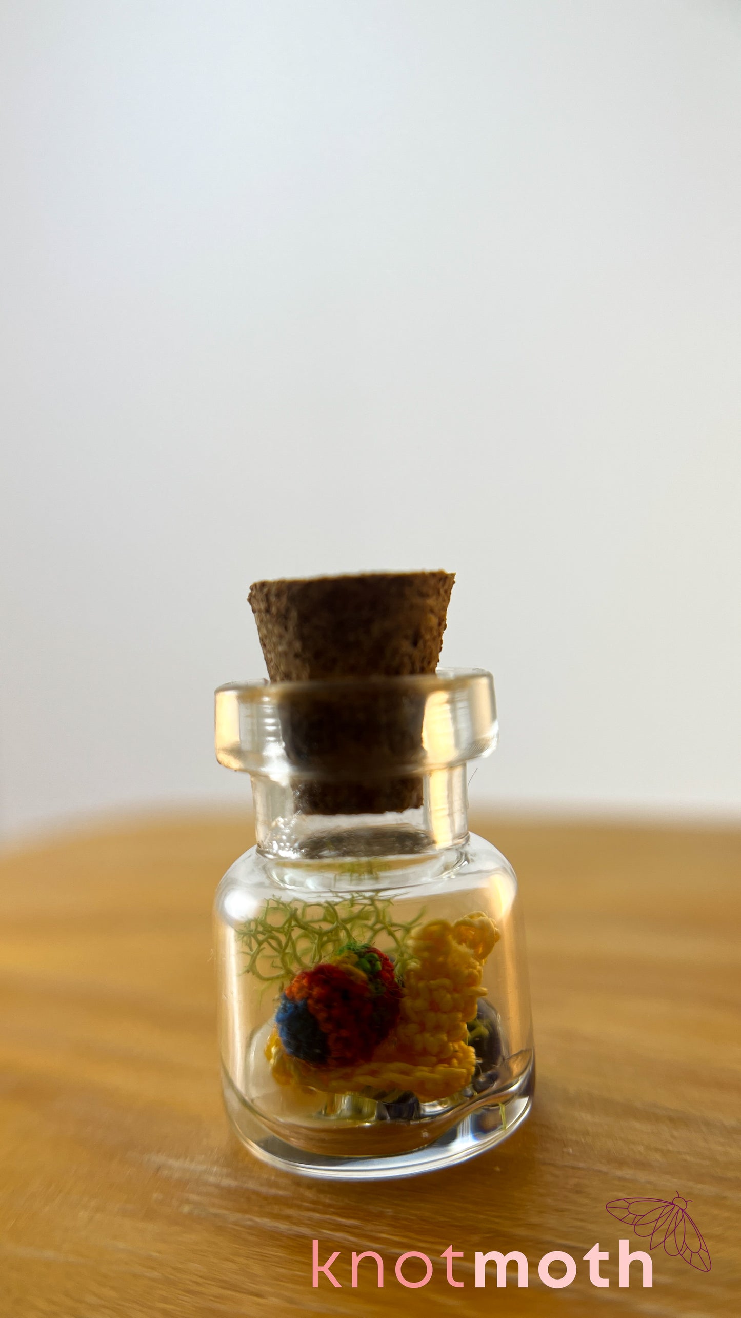 Sachi Snail Terrarium Micro Crochet Specimen Jar