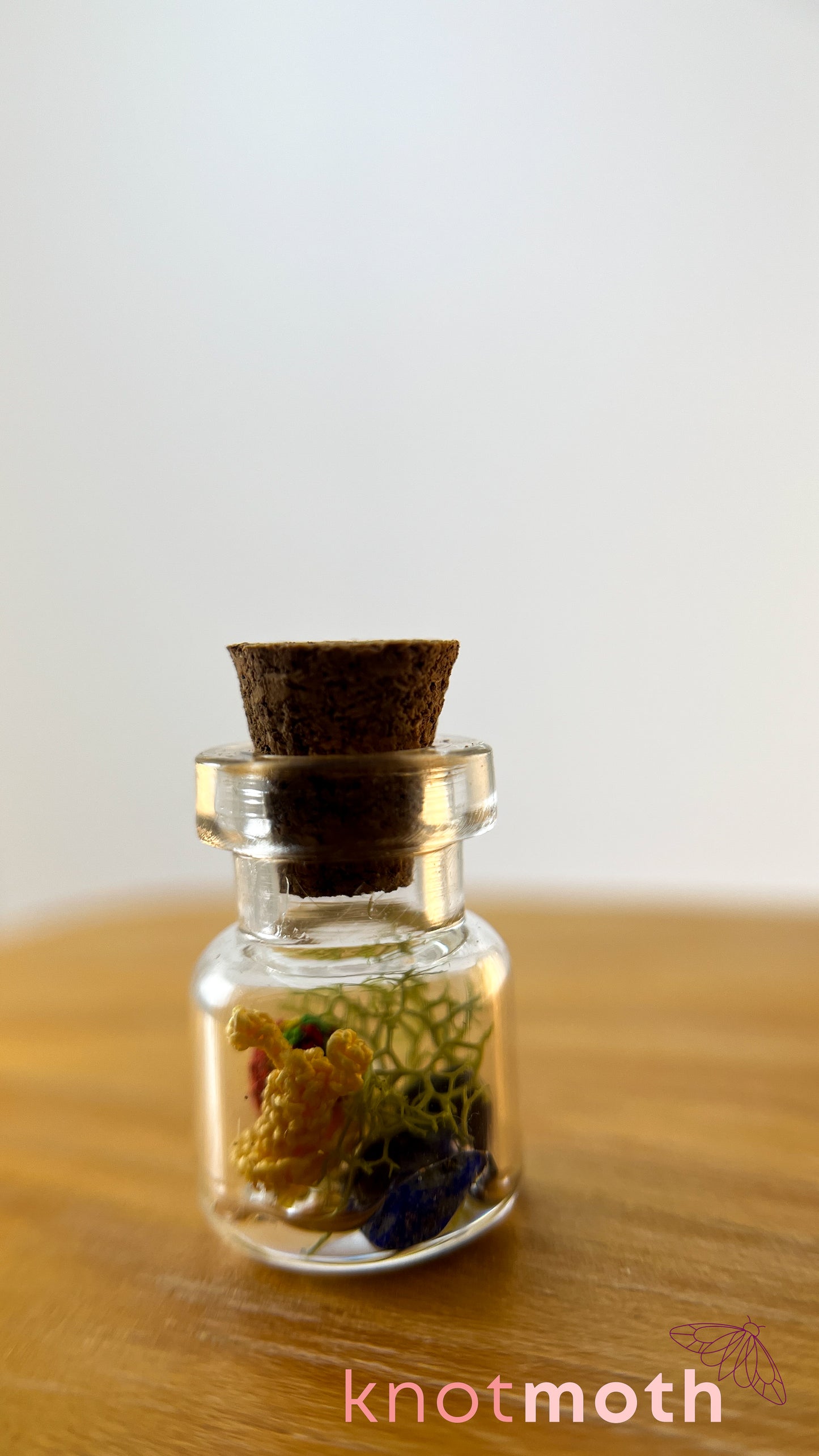 Sachi Snail Terrarium Micro Crochet Specimen Jar