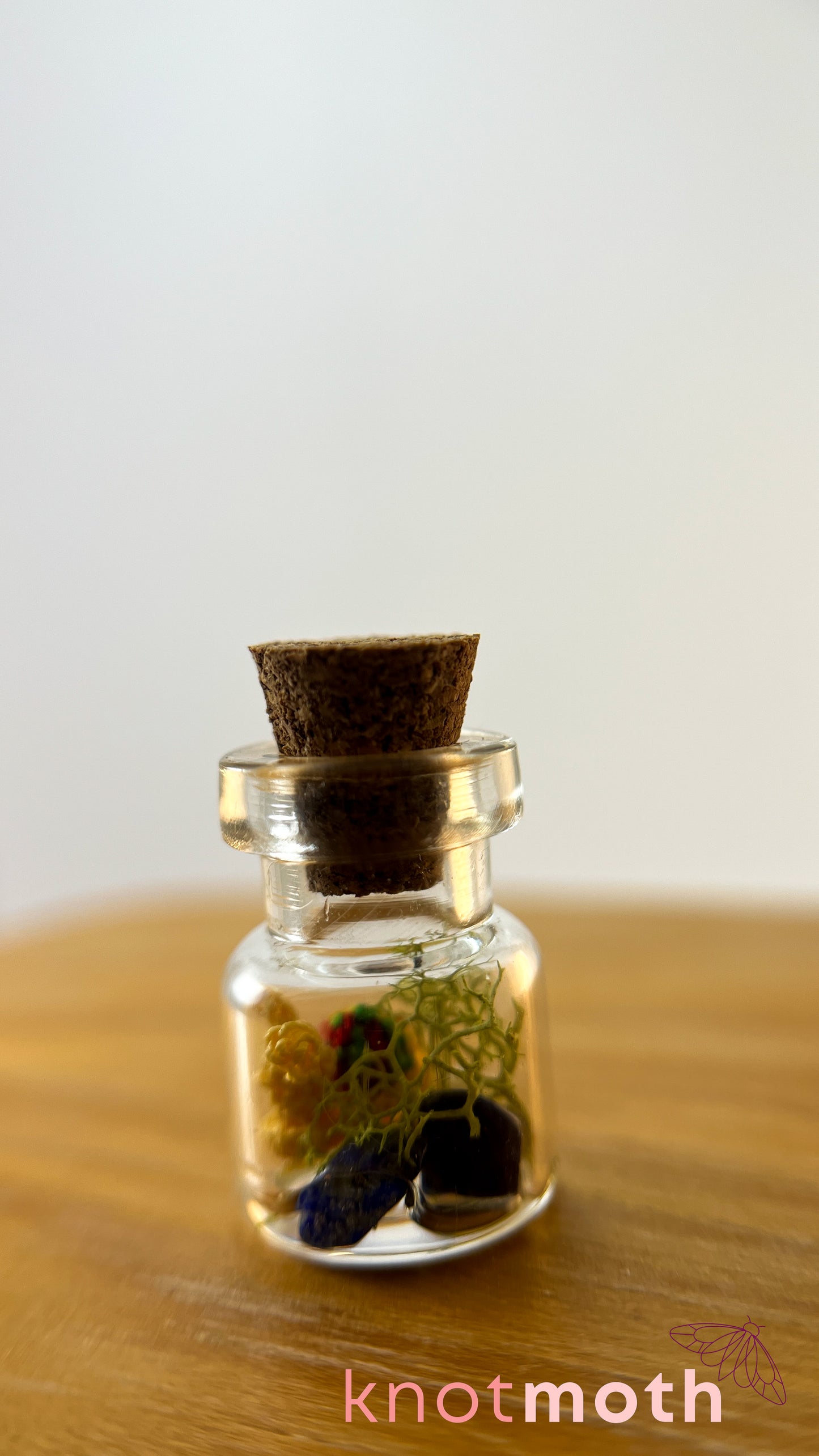 Sachi Snail Terrarium Micro Crochet Specimen Jar