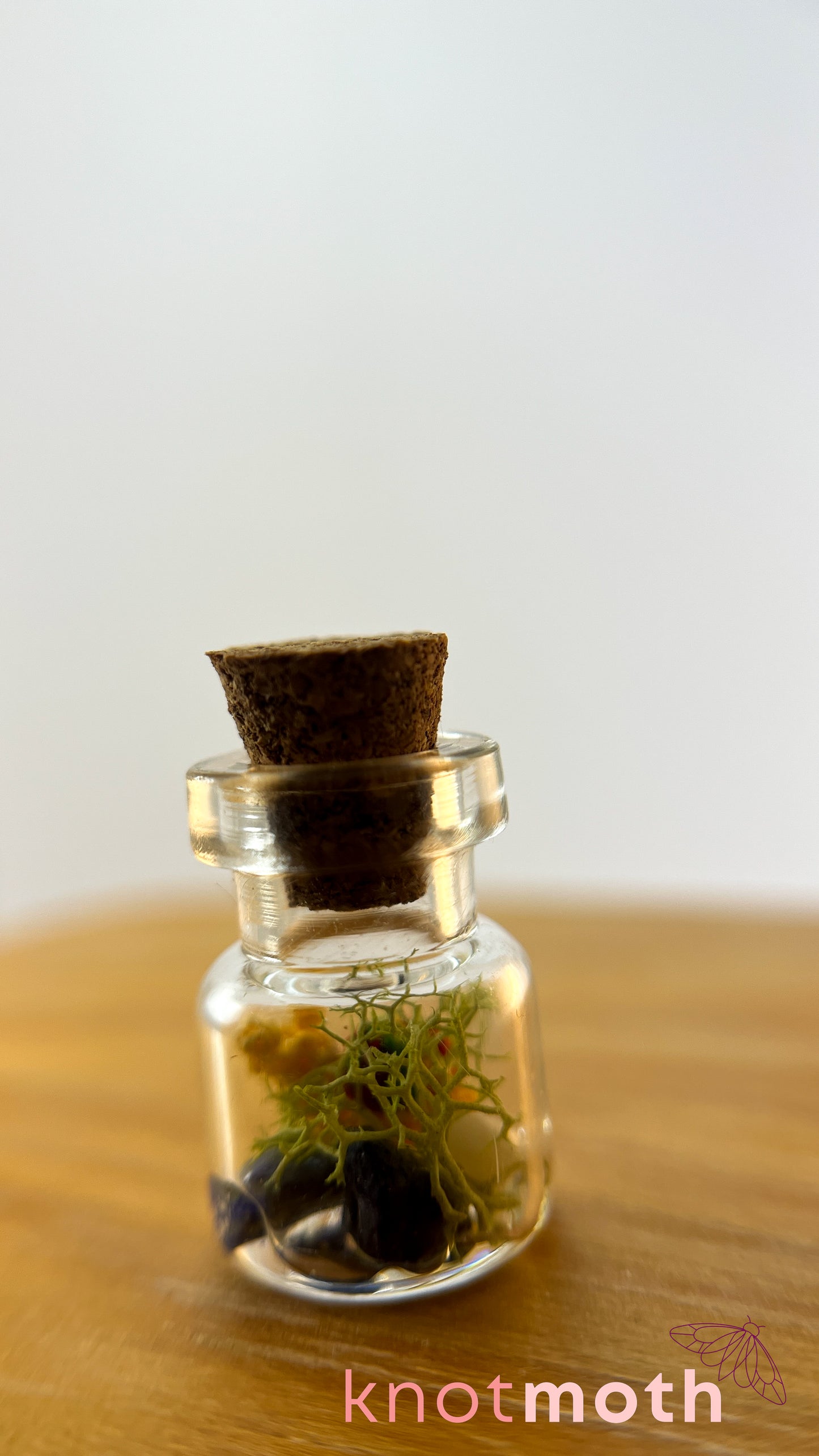 Sachi Snail Terrarium Micro Crochet Specimen Jar