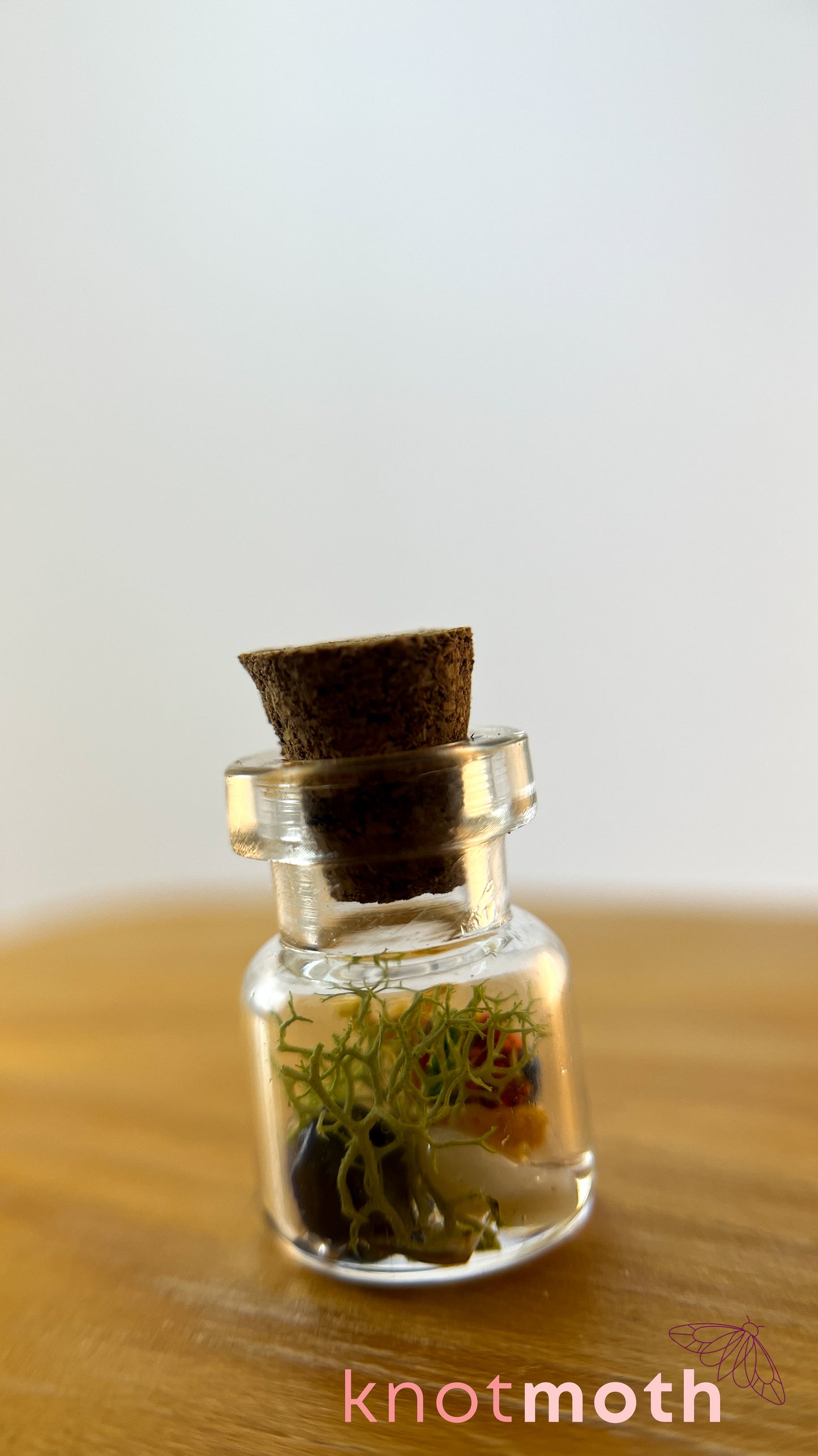 Sachi Snail Terrarium Micro Crochet Specimen Jar