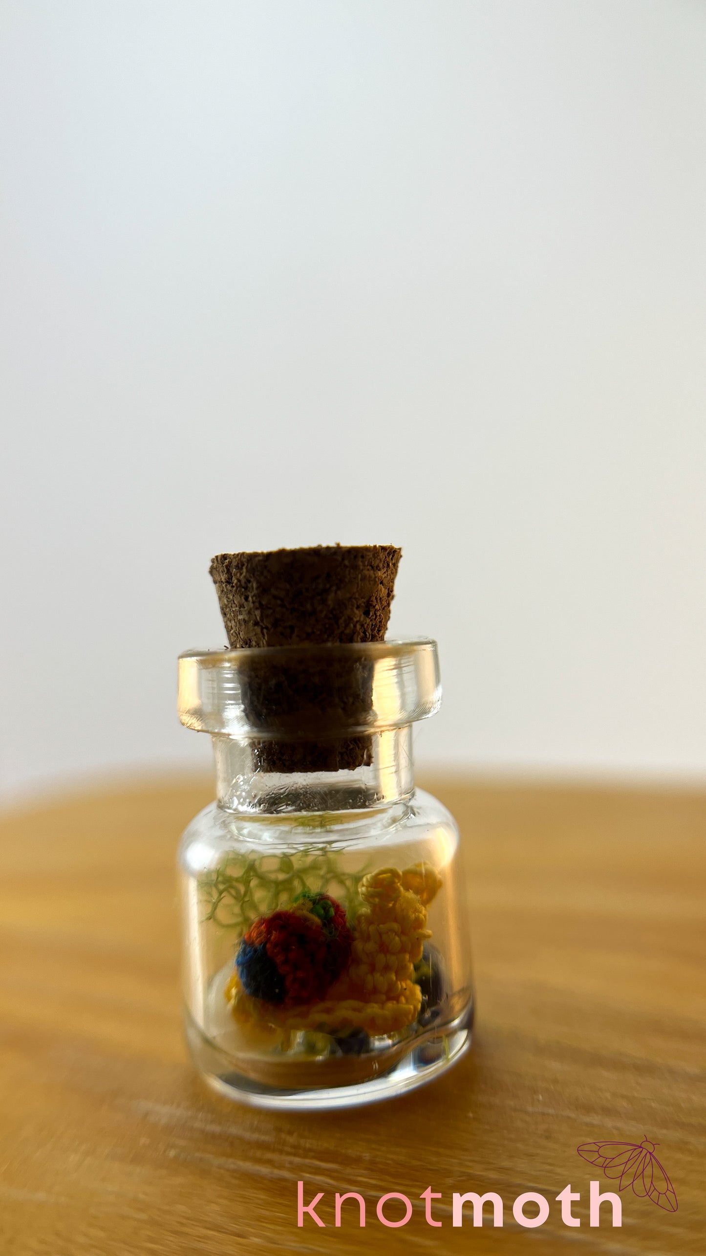 Sachi Snail Terrarium Micro Crochet Specimen Jar