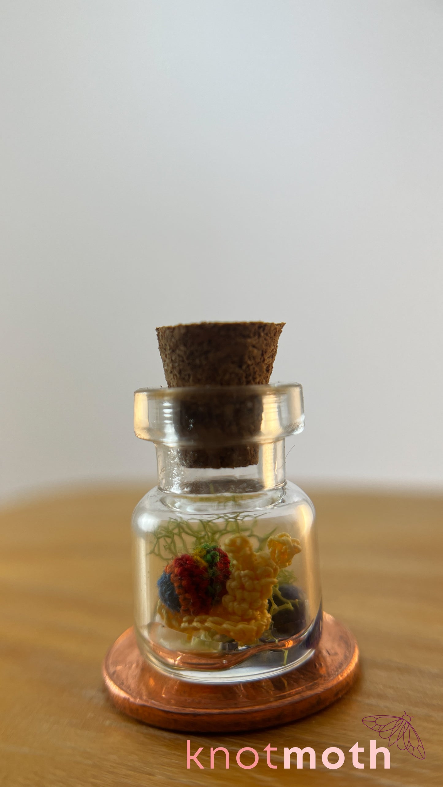 Sachi Snail Terrarium Micro Crochet Specimen Jar