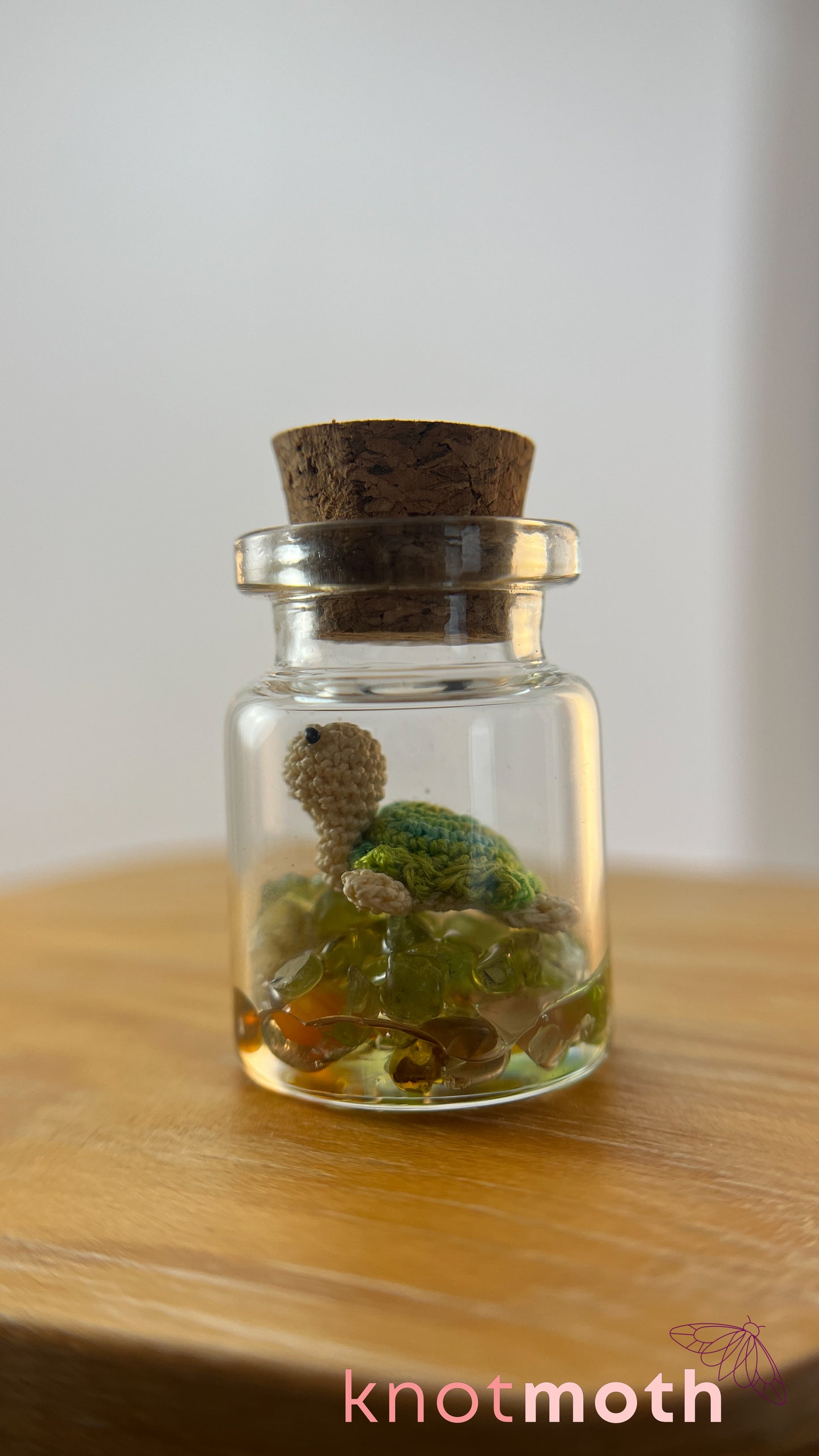 Tiff Turtle Terrarium Medium Micro Crochet Specimen Jar (Removable)