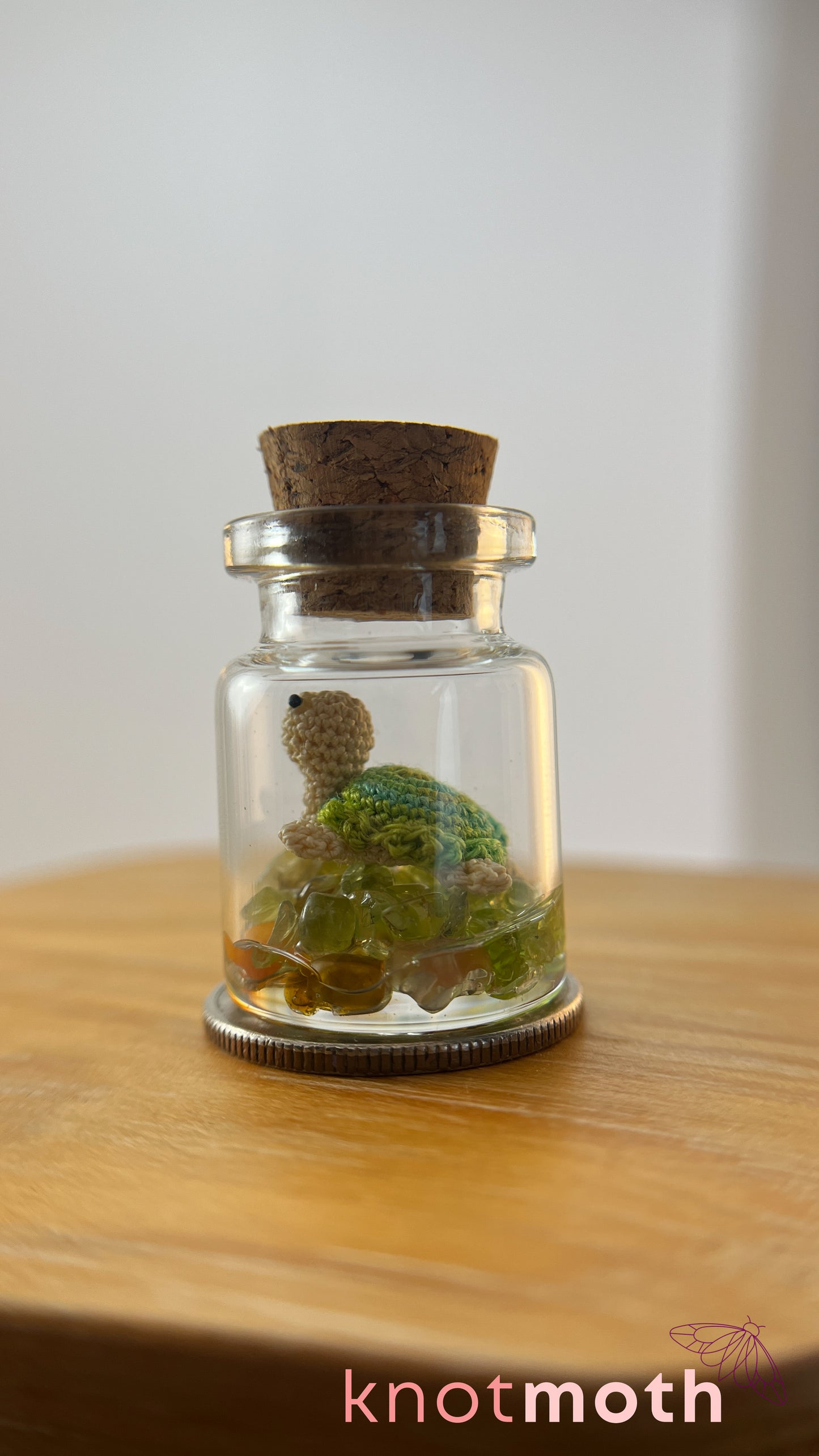 Tiff Turtle Terrarium Medium Micro Crochet Specimen Jar (Removable)