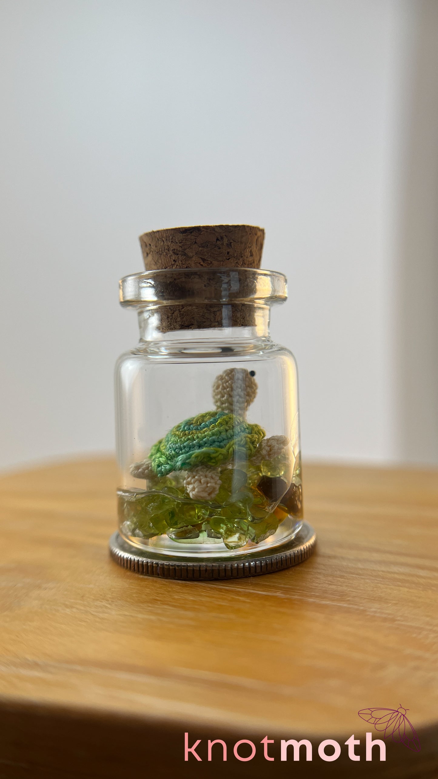 Tiff Turtle Terrarium Medium Micro Crochet Specimen Jar (Removable)