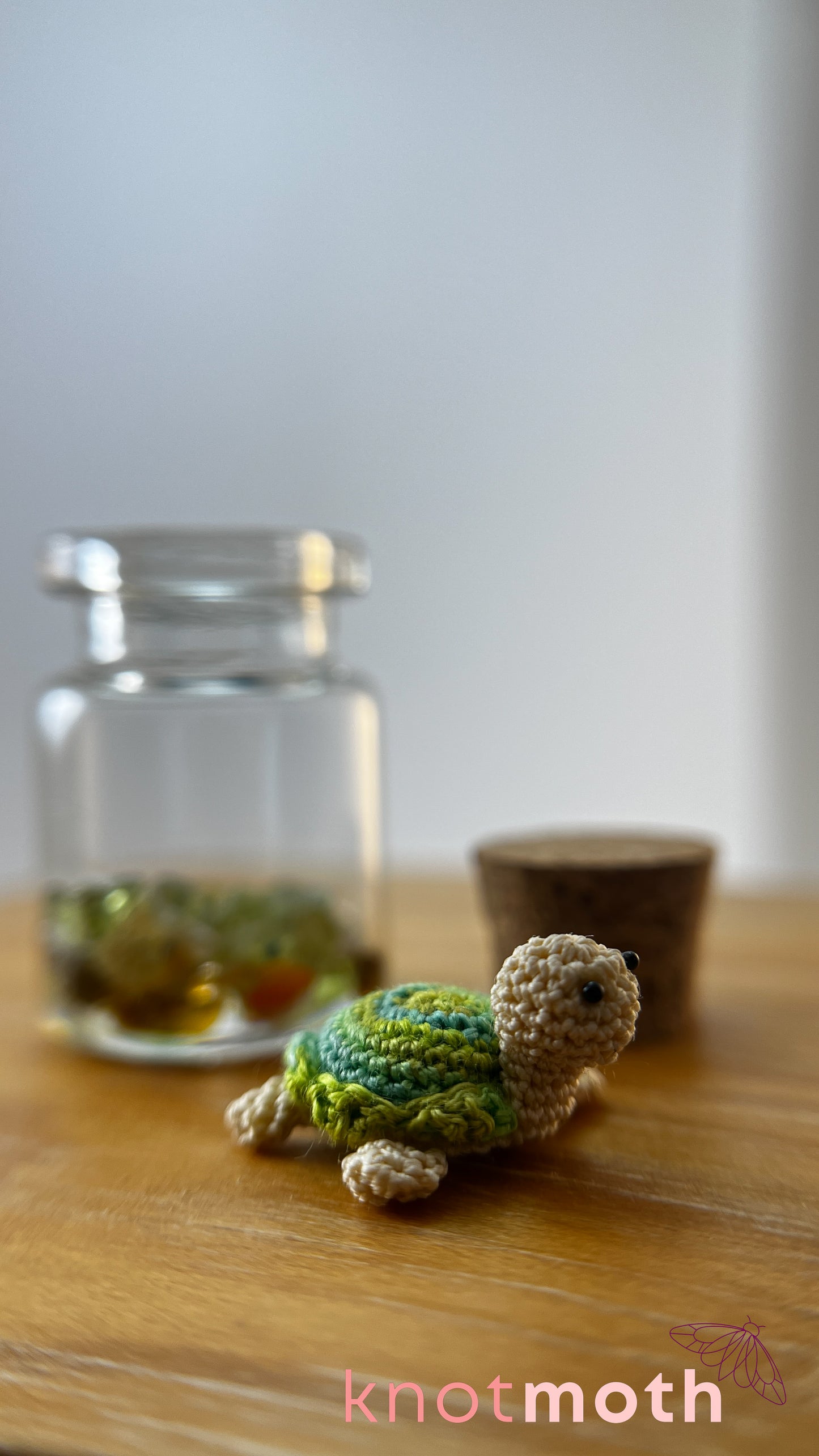 Tiff Turtle Terrarium Medium Micro Crochet Specimen Jar (Removable)