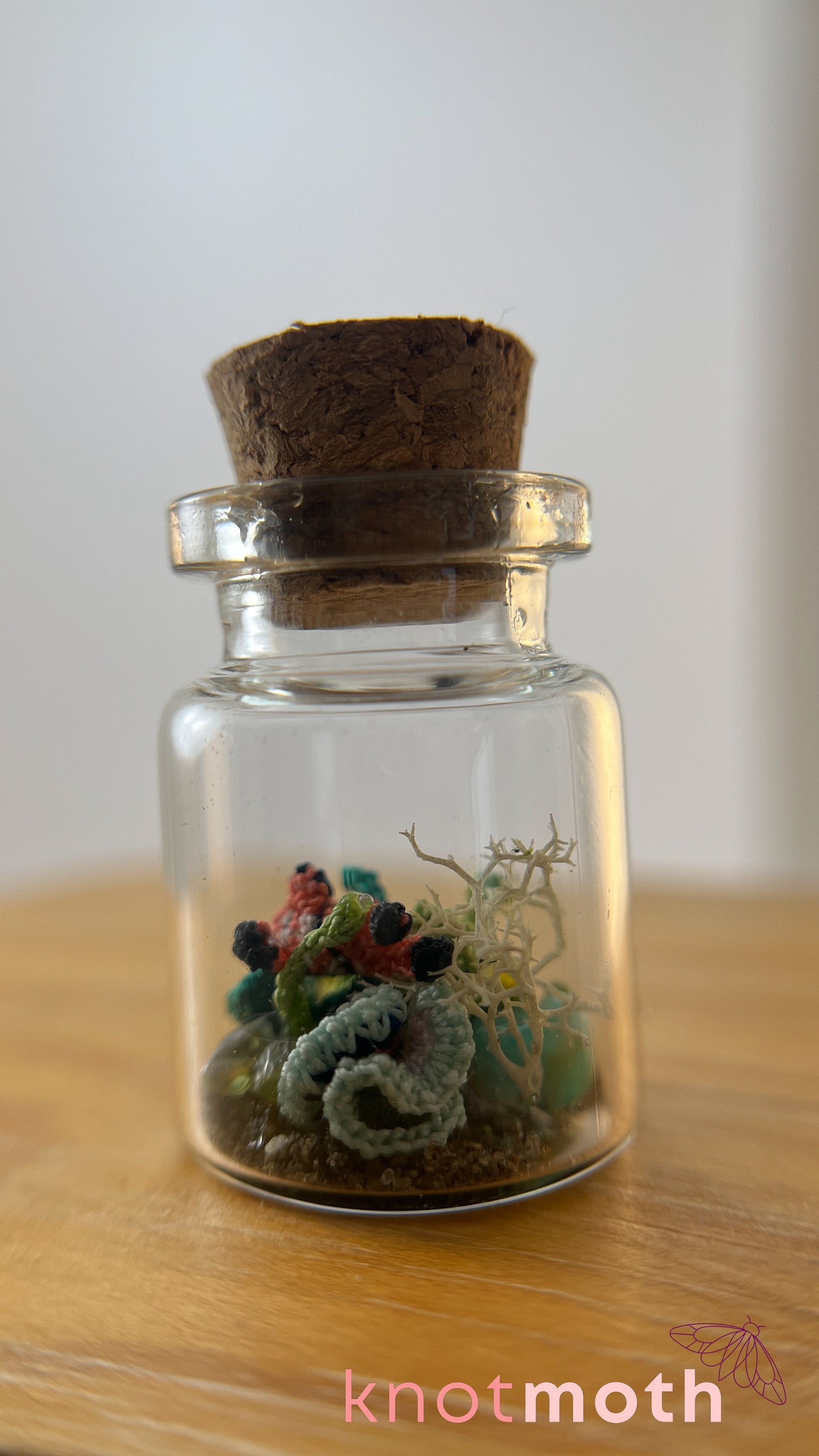 Clownfish and Coral Aquarium Micro Crochet Aquarium Jar (Removable)