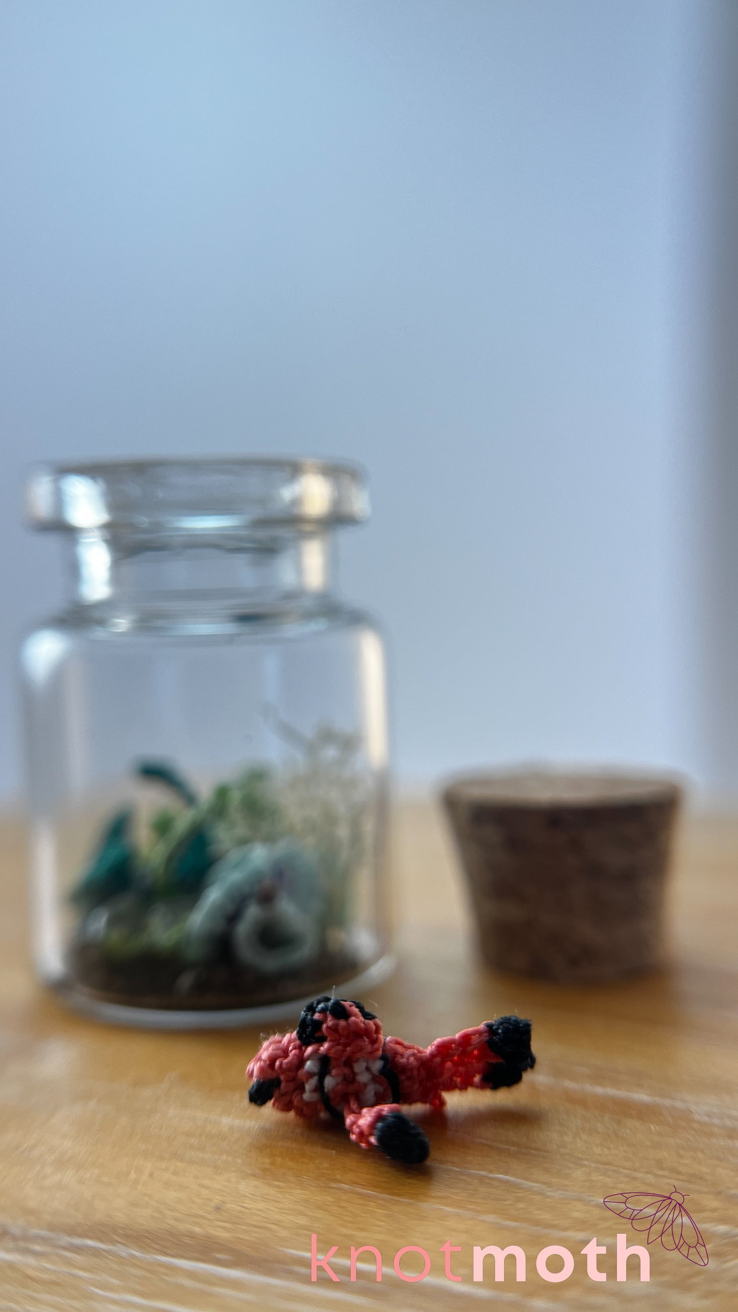Clownfish and Coral Aquarium Micro Crochet Aquarium Jar (Removable)
