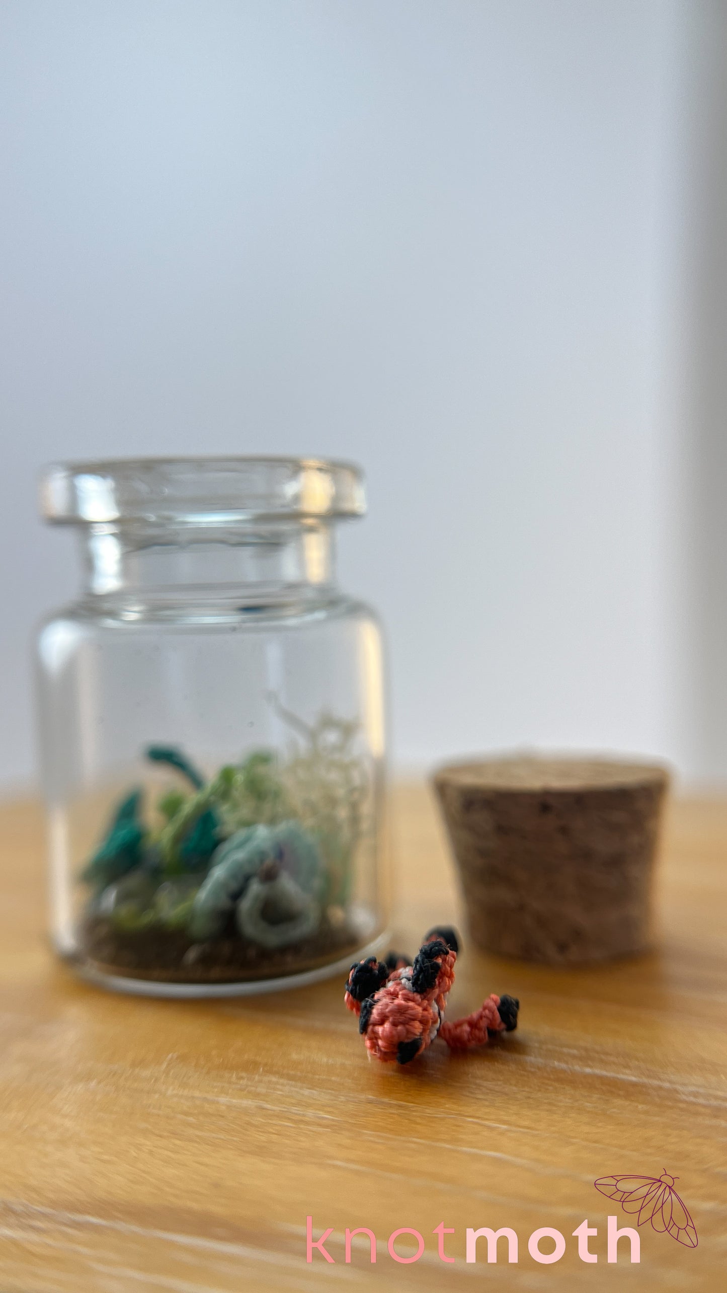 Clownfish and Coral Aquarium Micro Crochet Aquarium Jar (Removable)