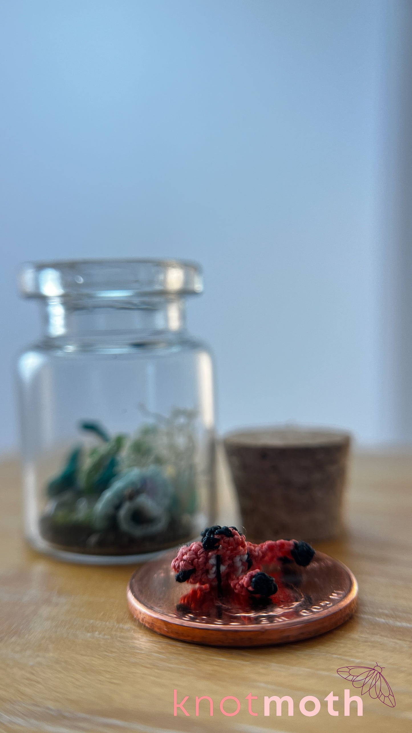 Clownfish and Coral Aquarium Micro Crochet Aquarium Jar (Removable)