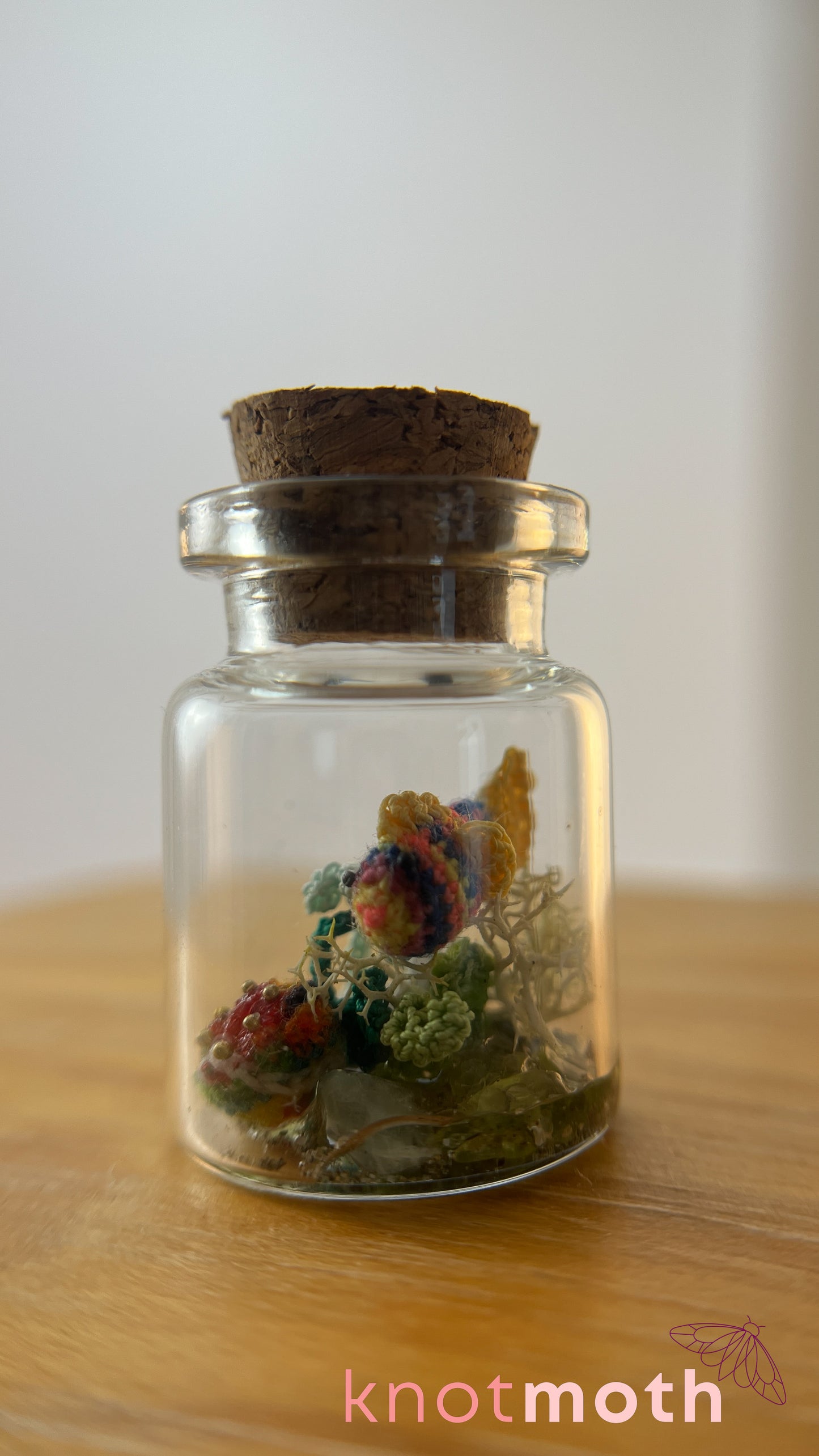 Rainbow Fish and Coral Aquarium Medium Micro Crochet Specimen Jar (Removable)