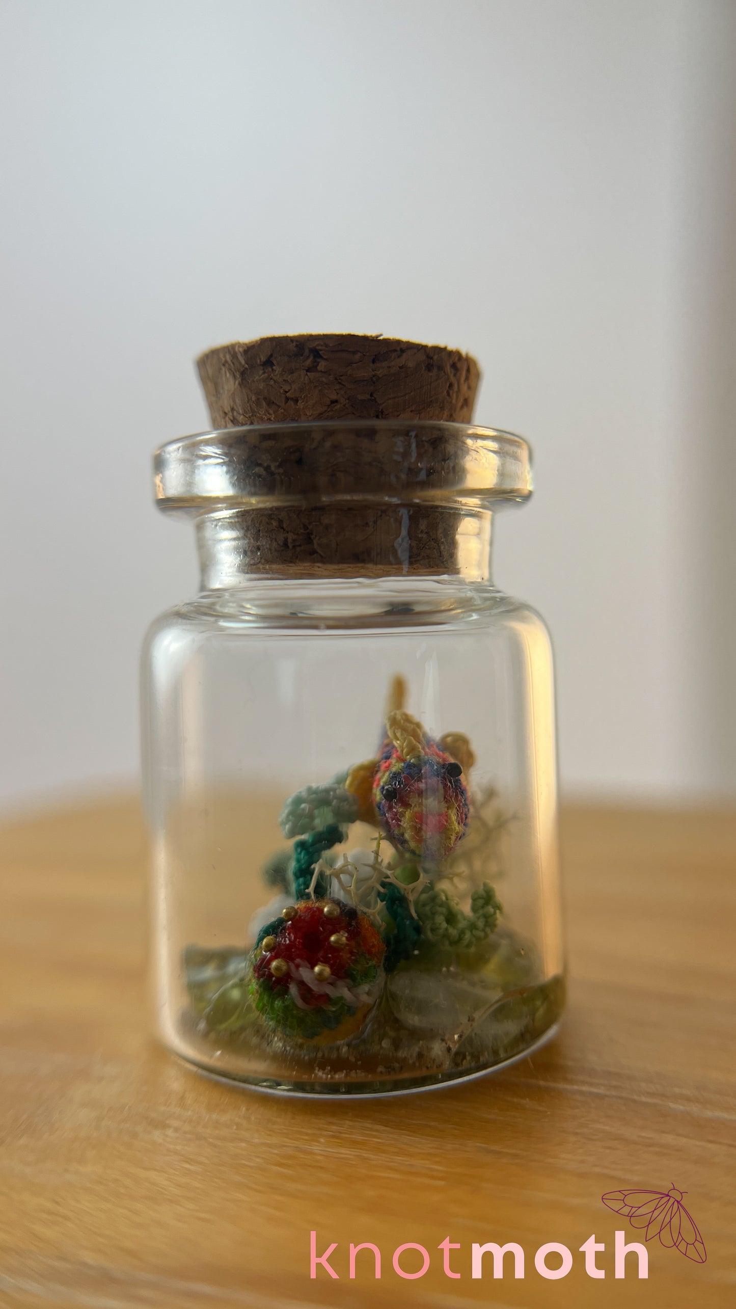Rainbow Fish and Coral Aquarium Medium Micro Crochet Specimen Jar (Removable)
