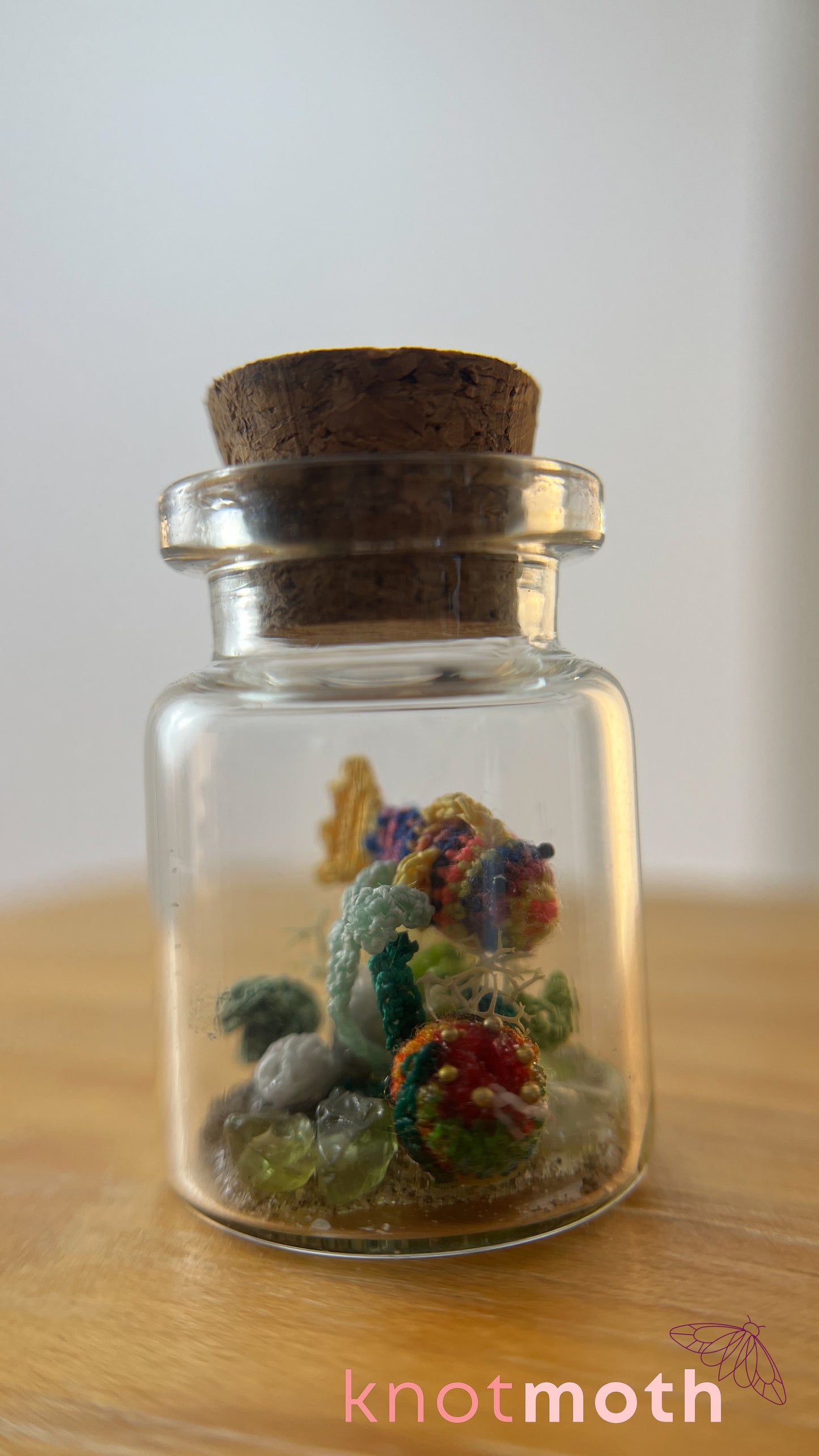 Rainbow Fish and Coral Aquarium Medium Micro Crochet Specimen Jar (Removable)
