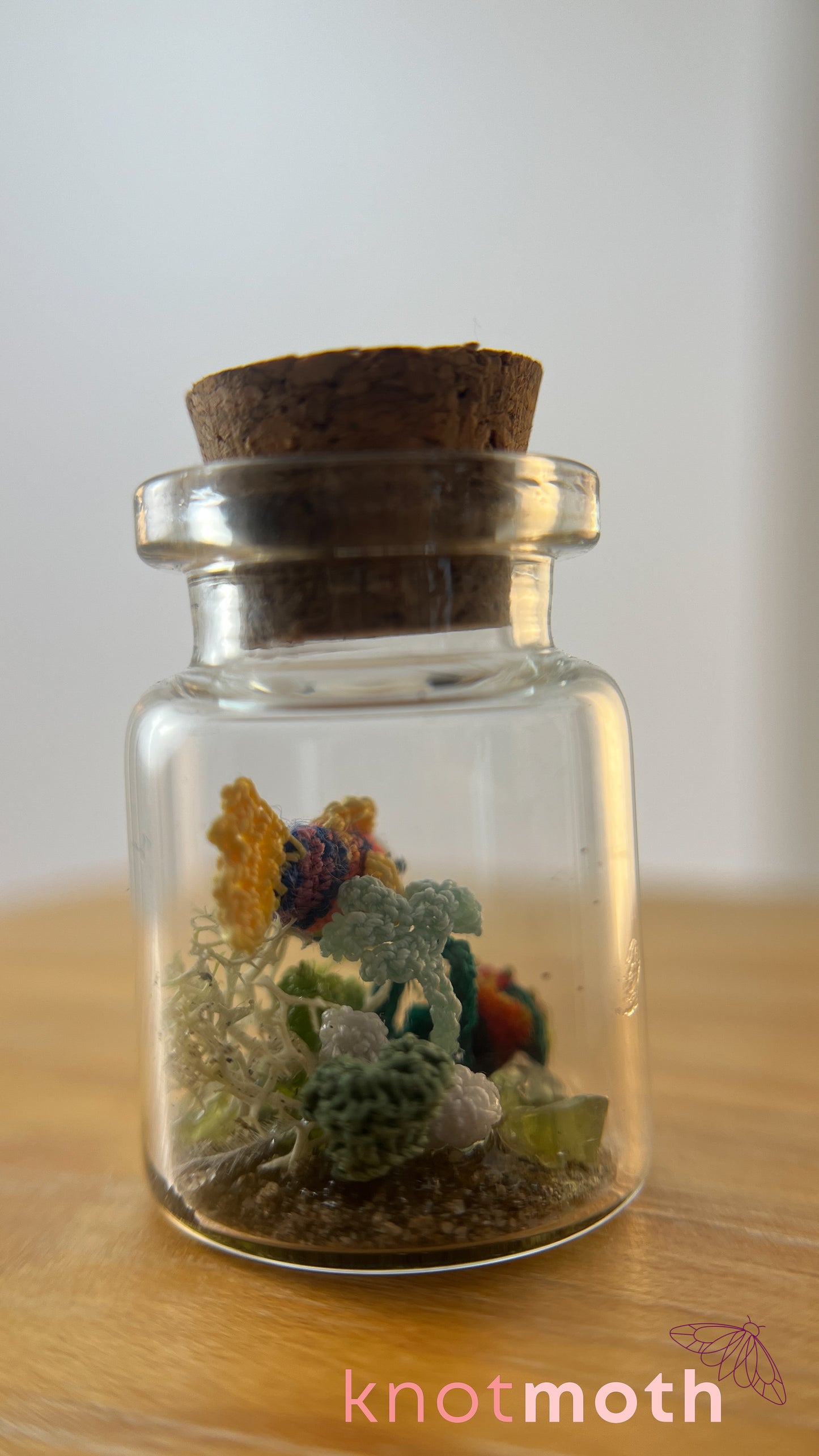 Rainbow Fish and Coral Aquarium Medium Micro Crochet Specimen Jar (Removable)