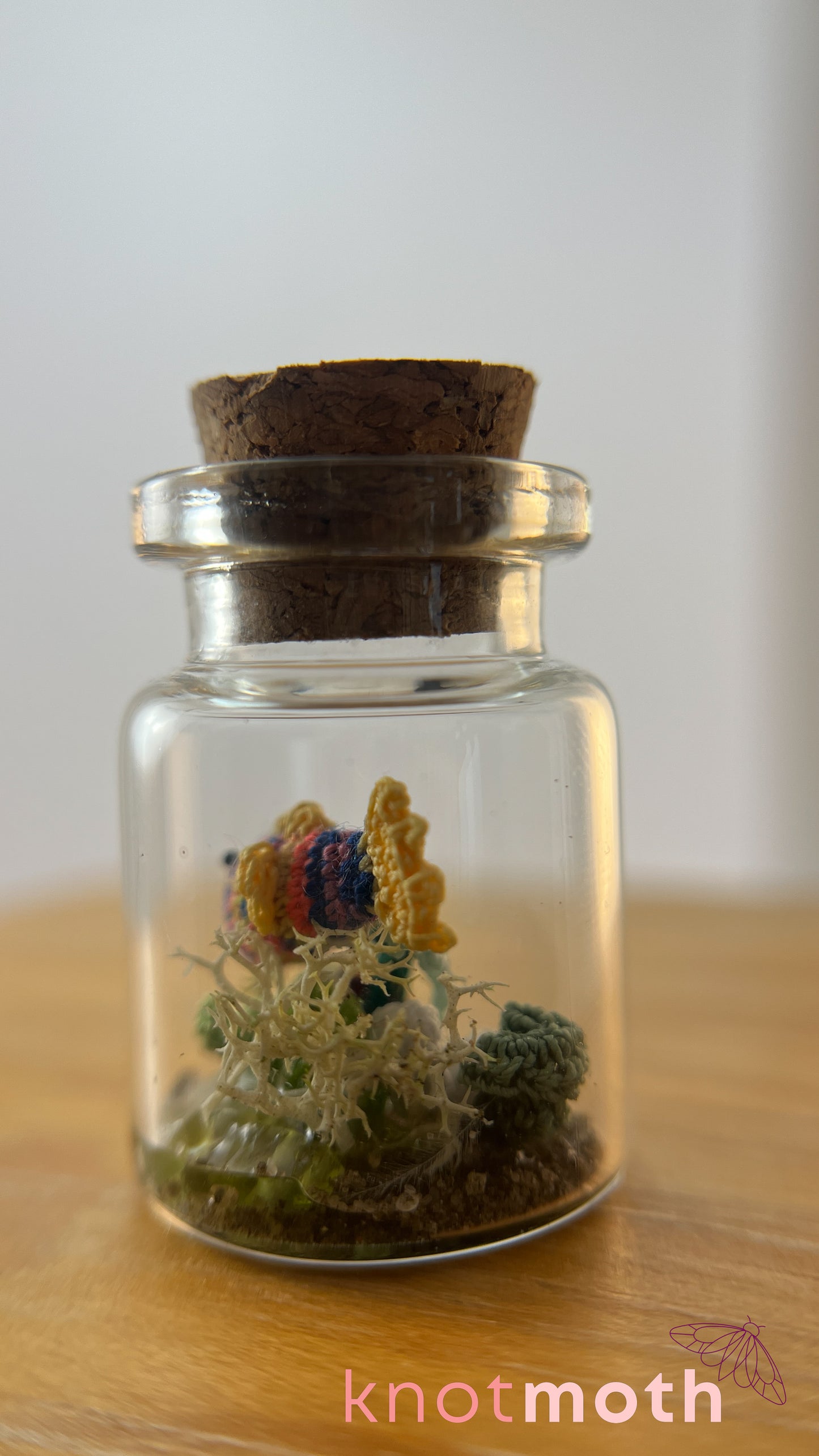 Rainbow Fish and Coral Aquarium Medium Micro Crochet Specimen Jar (Removable)