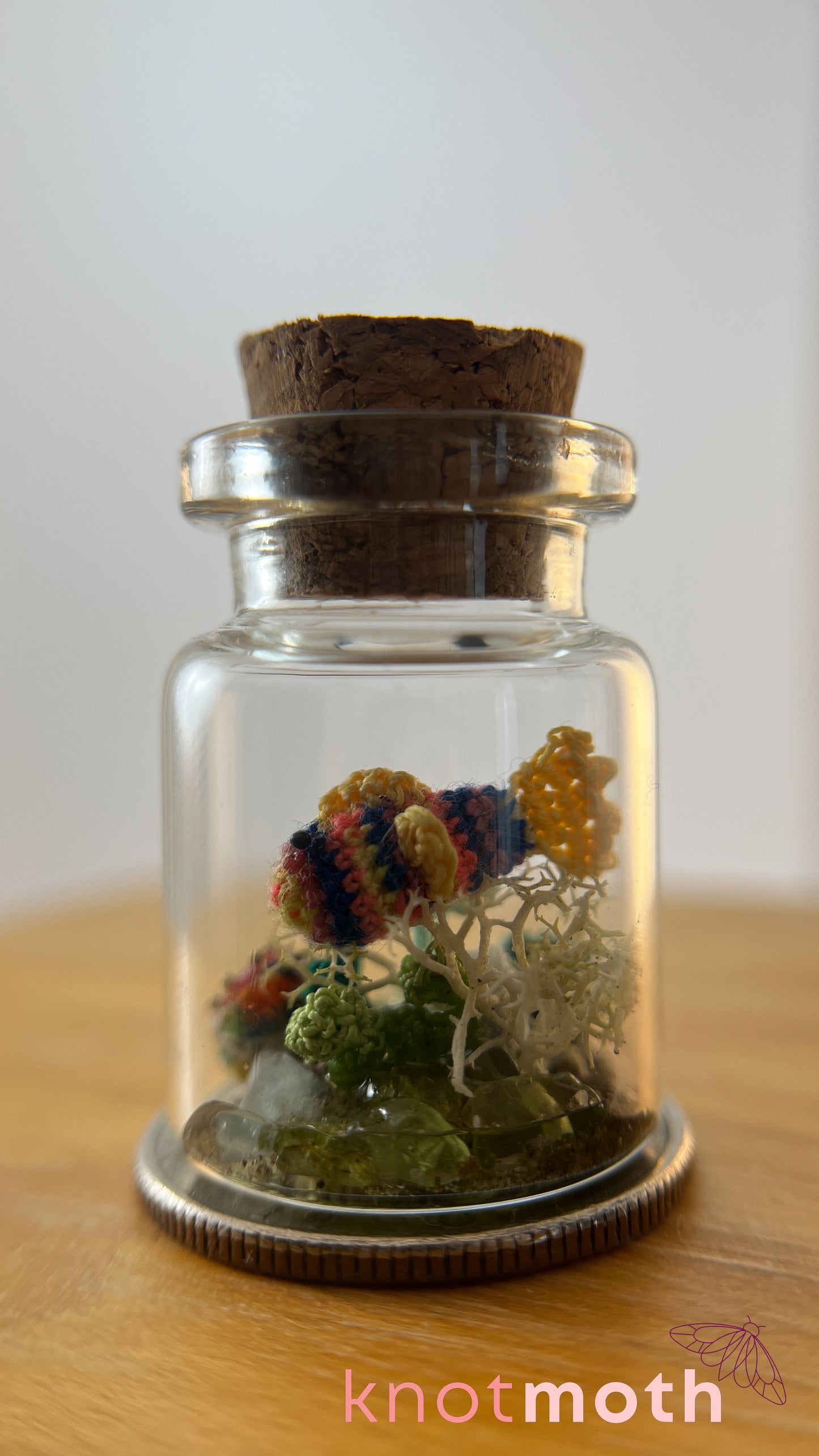 Rainbow Fish and Coral Aquarium Medium Micro Crochet Specimen Jar (Removable)