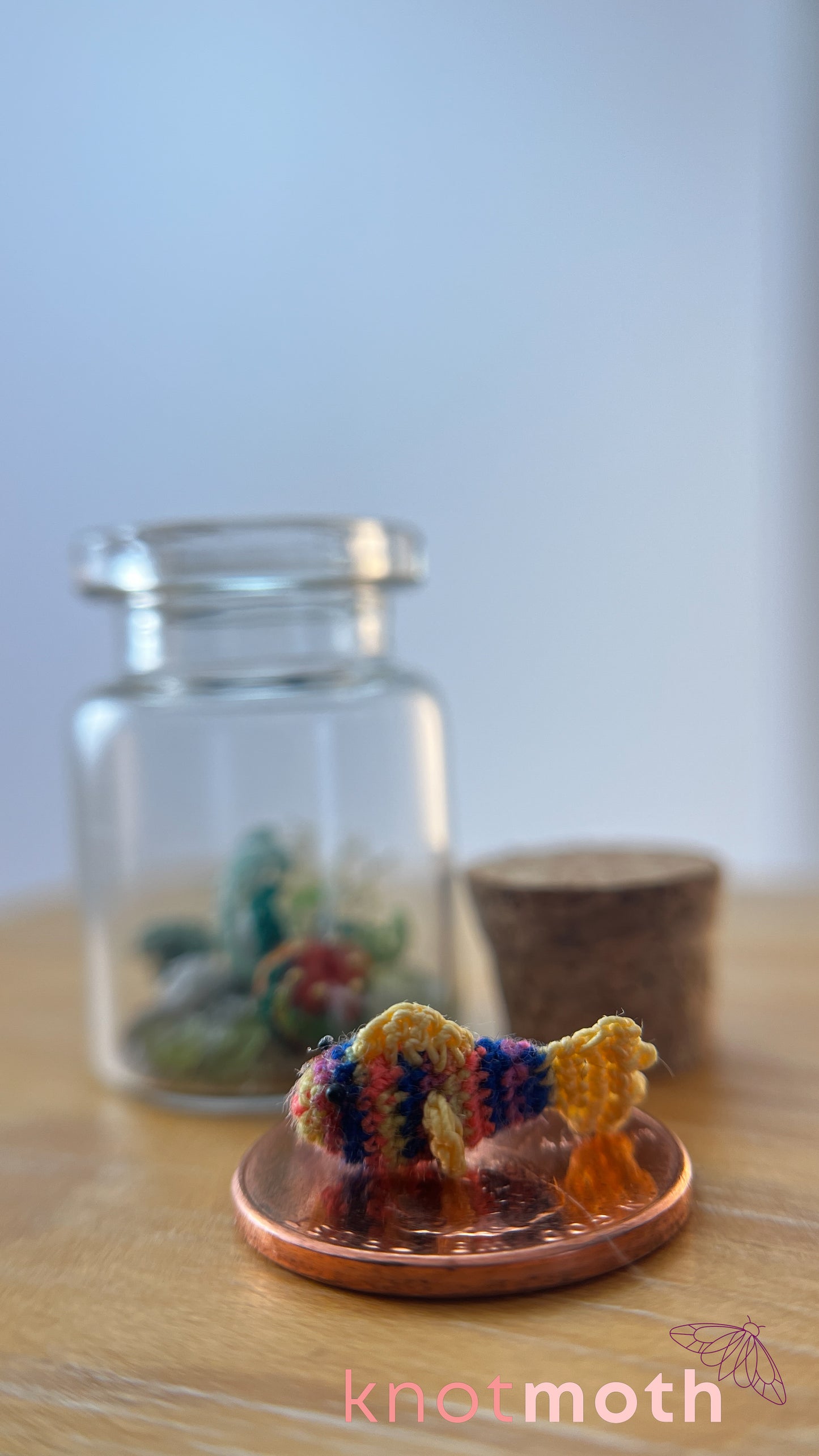 Rainbow Fish and Coral Aquarium Medium Micro Crochet Specimen Jar (Removable)