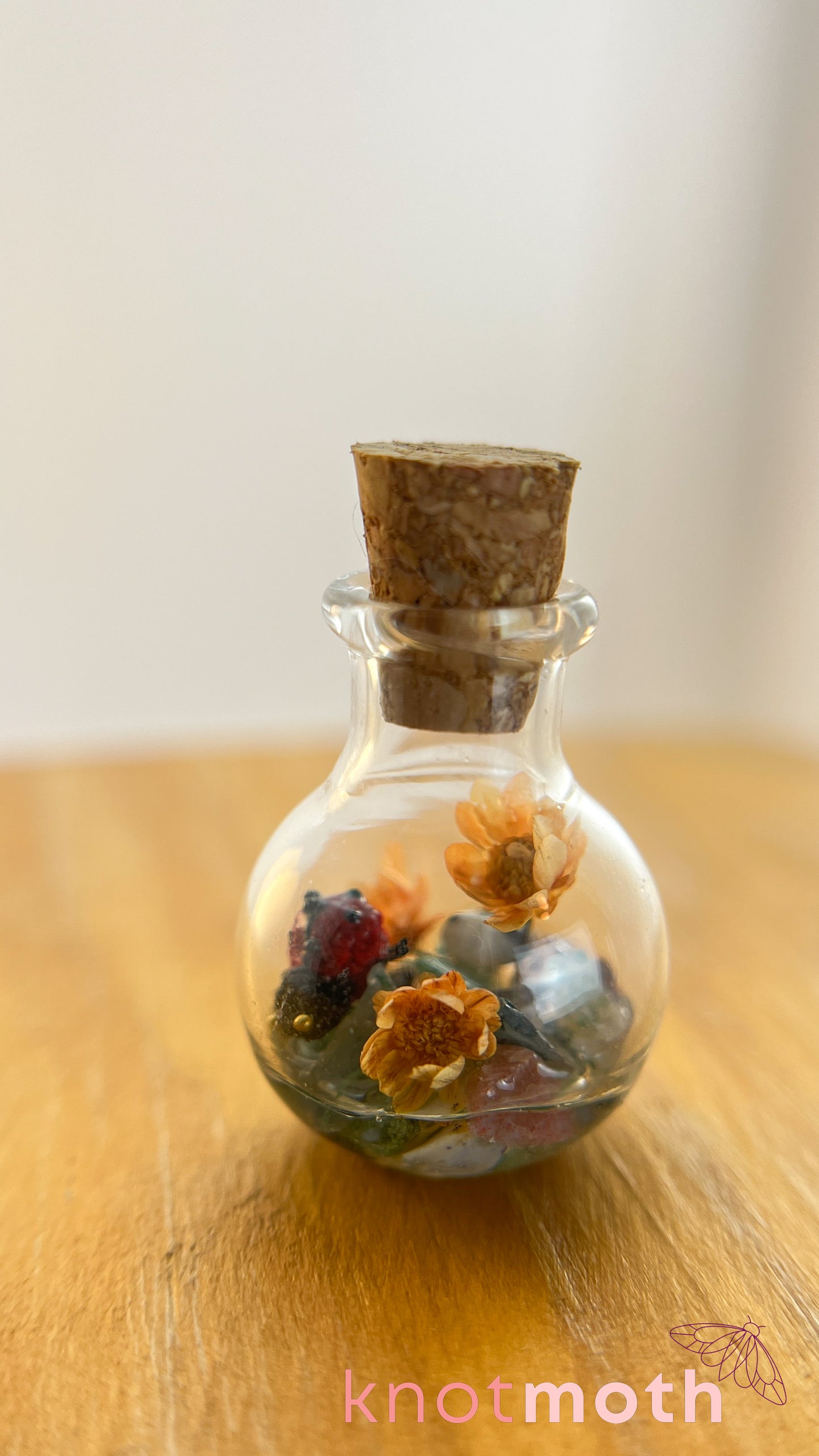 Loretta Ladybug Micro Crochet Terrarium Jar (Magnetic, Removable)
