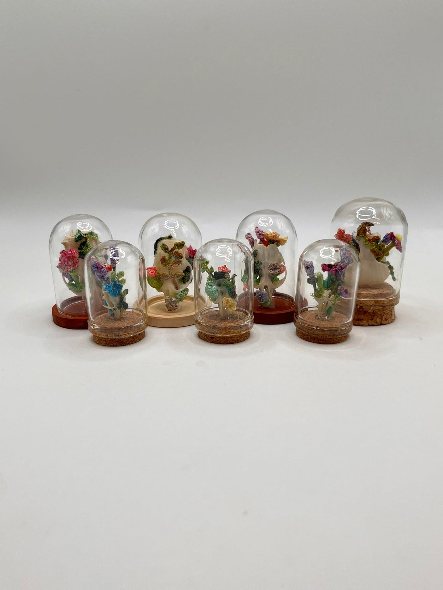 bone art - glass jars