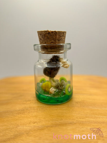Keeley Kiwi 🥝 Micro Crochet Trinket Jar