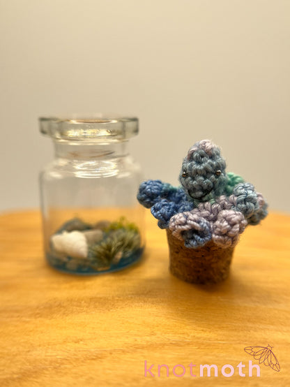 ezra octopus trinket jar