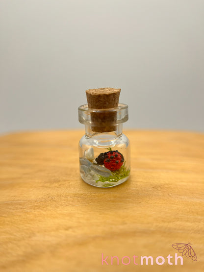 lainey ladybug trinket jar