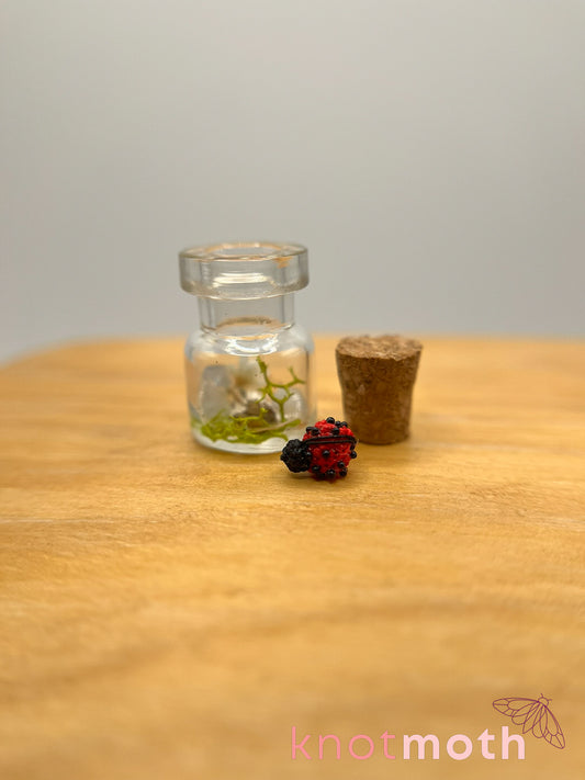 lainey ladybug trinket jar