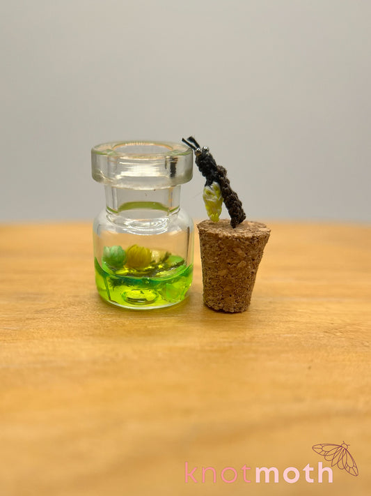 lucy lightning bug glow-in-the-dark trinket jar