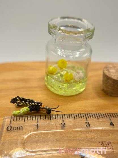 Phoebe Firefly Glow-in-the-Dark Micro Crochet Trinket Jar