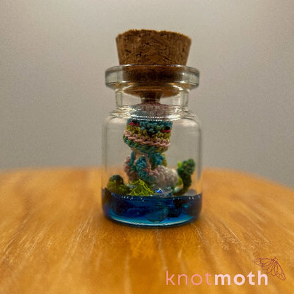 jellyfish (pre-order)