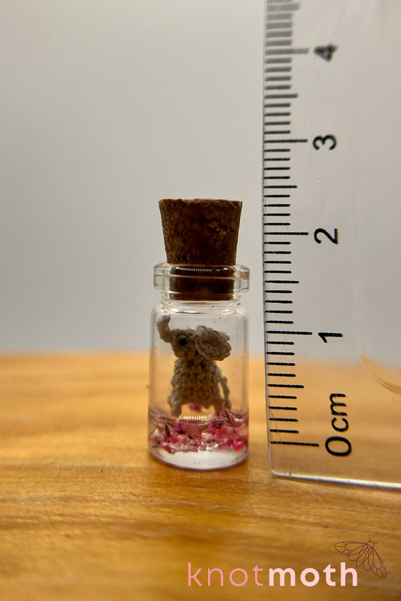 nano elephant jar (pre-order)