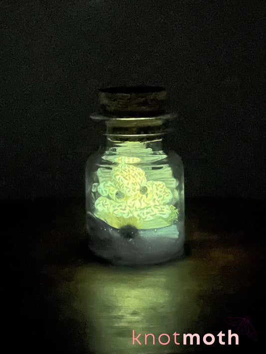 presley octopus glow-in-the-dark micro crochet jar