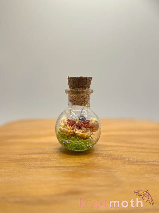 brooks butterfly micro crochet trinket jar