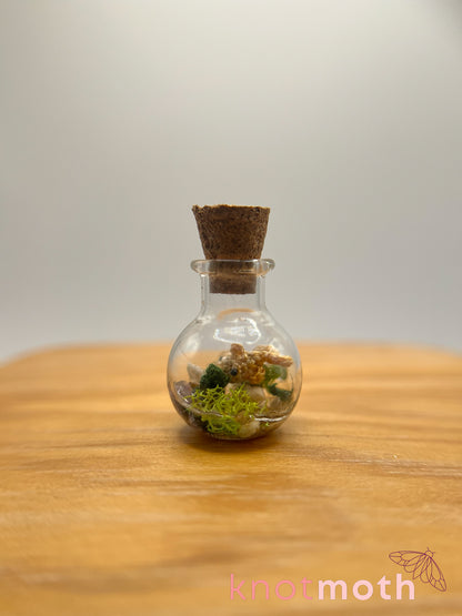 nicole goldfish & seaweed micro crochet trinket jar