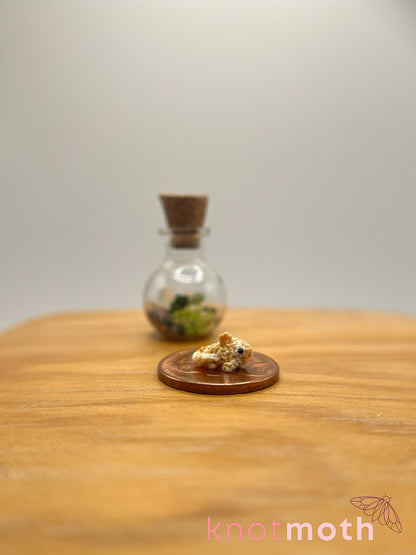 nicole goldfish & seaweed micro crochet trinket jar