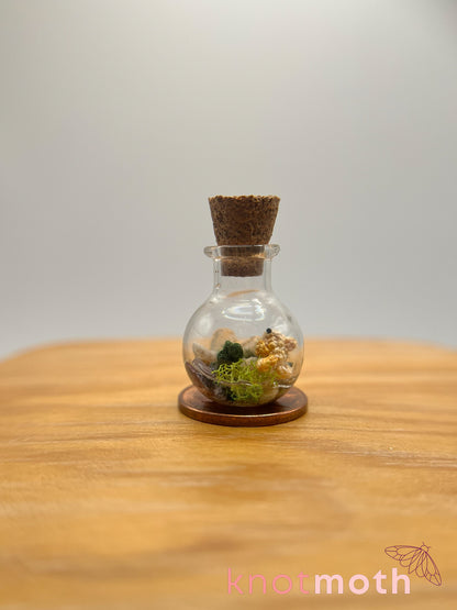 nicole goldfish & seaweed micro crochet trinket jar
